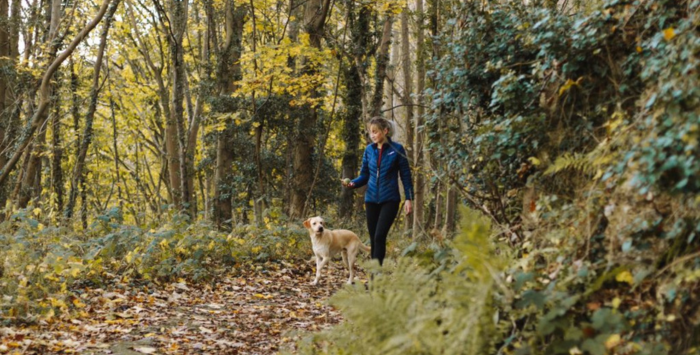 Woman walking a dog in a forest.