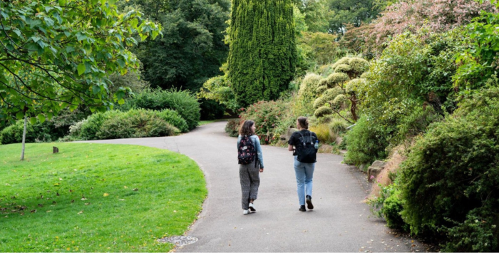 Mindful Movement Walk and Talk