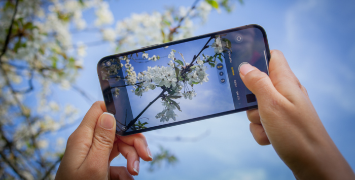 ReframePhotographyCourse (1)