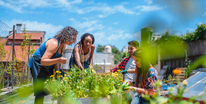 People gardening