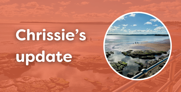 Website News Headers 2024 (28)